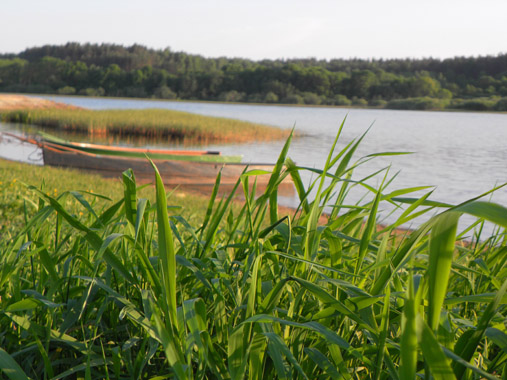 SAMSUNG DIGITAL CAMERA