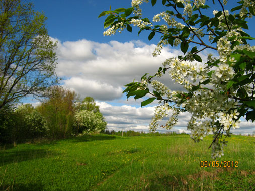 Михаил орлов1-2