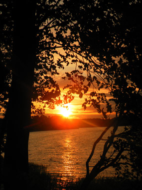 SAMSUNG DIGITAL CAMERA