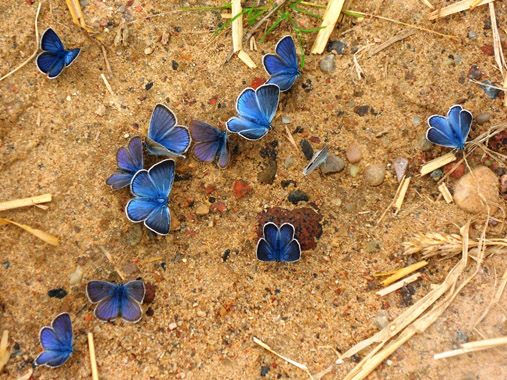 SAMSUNG DIGITAL CAMERA