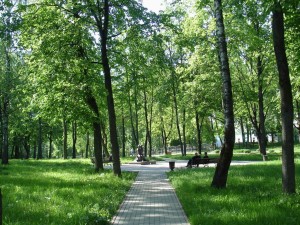 Фото из открытых источников