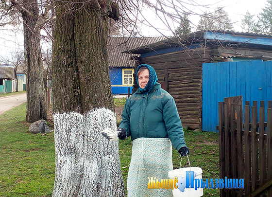На снимке: побелку деревьев проводит Лариса Проворная.