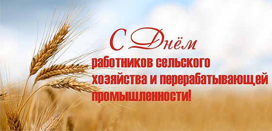 Фото из открытых источников.